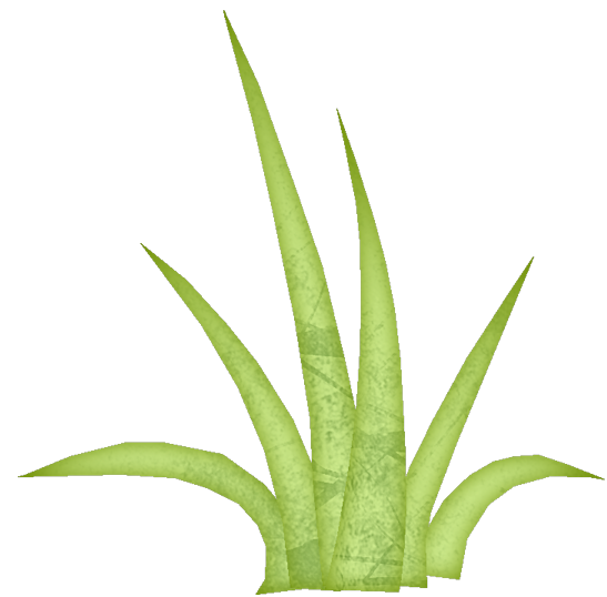 Aloe Vera Leaf Clipart