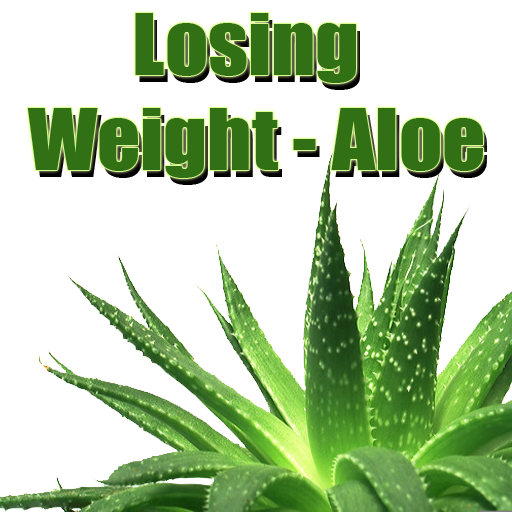 Aloe Vera Leaf Clipart