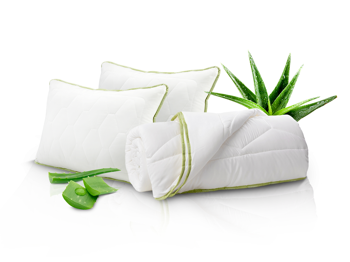 Aloe Vera Clipart