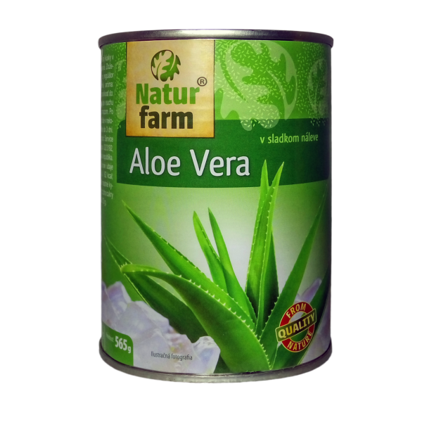 Aloe Vera Clipart