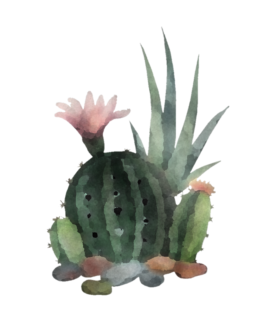 Cactus Clipart