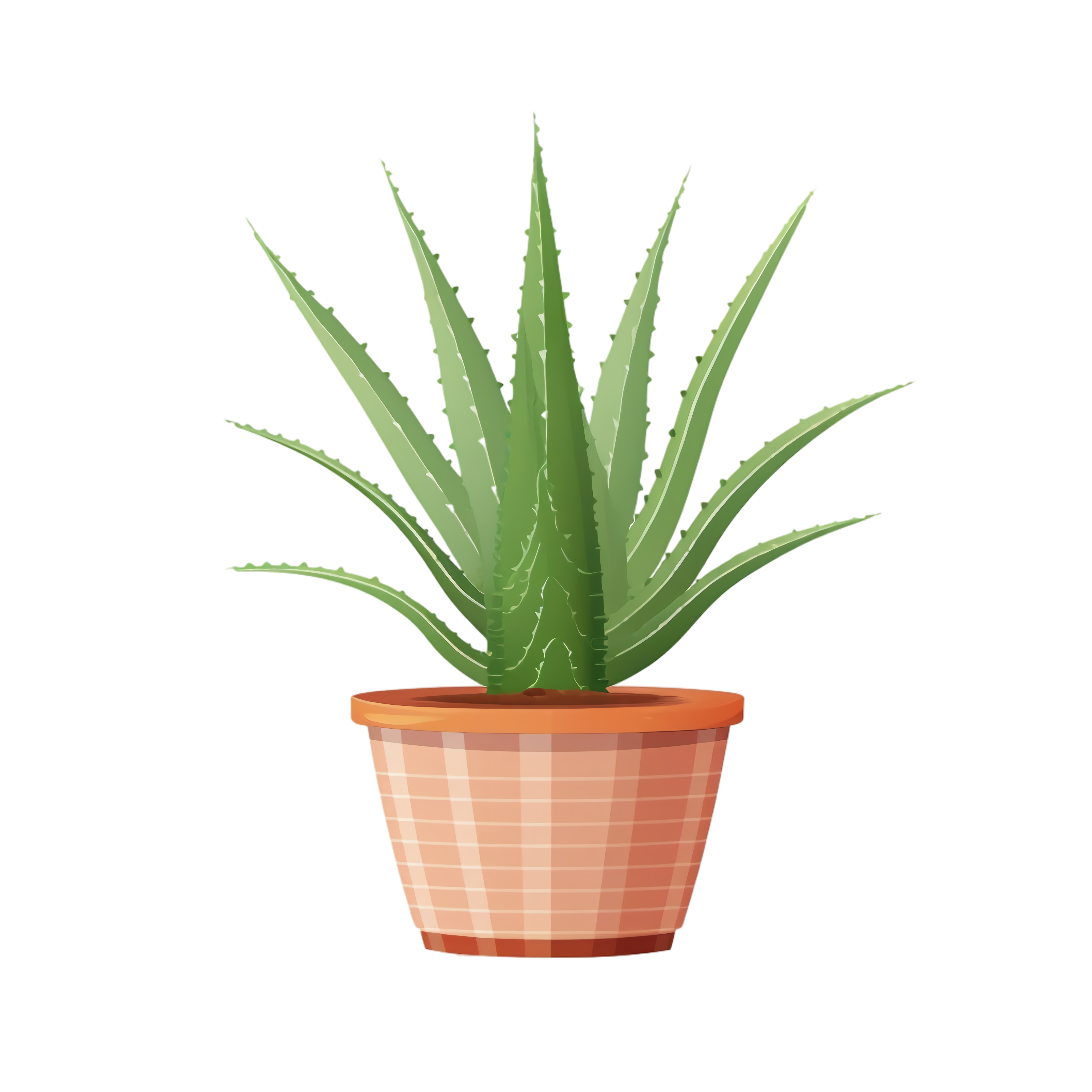 Aloe vera Clipart