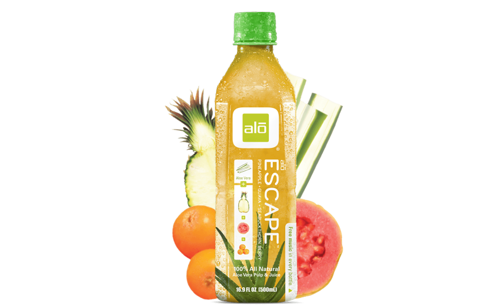 Aloe Vera Clipart
