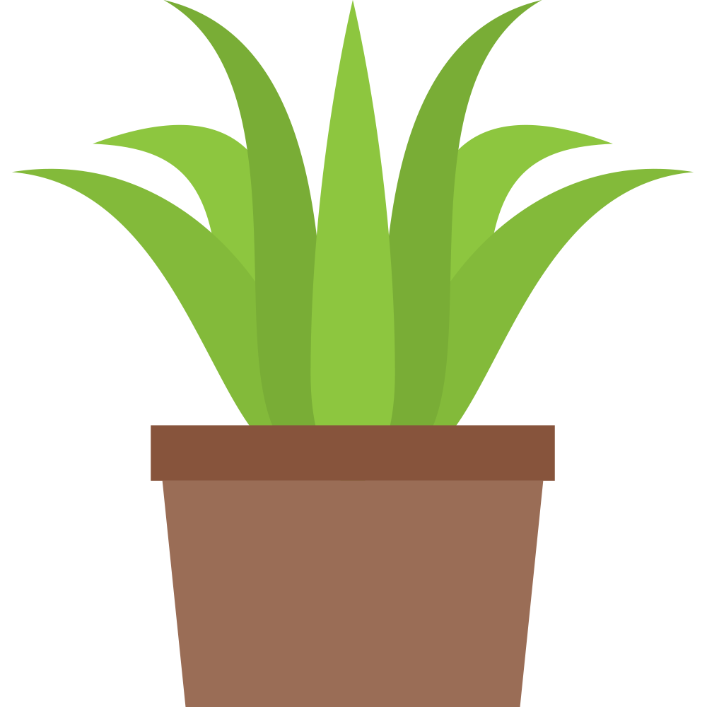 Cartoon Palm Tree Clipart