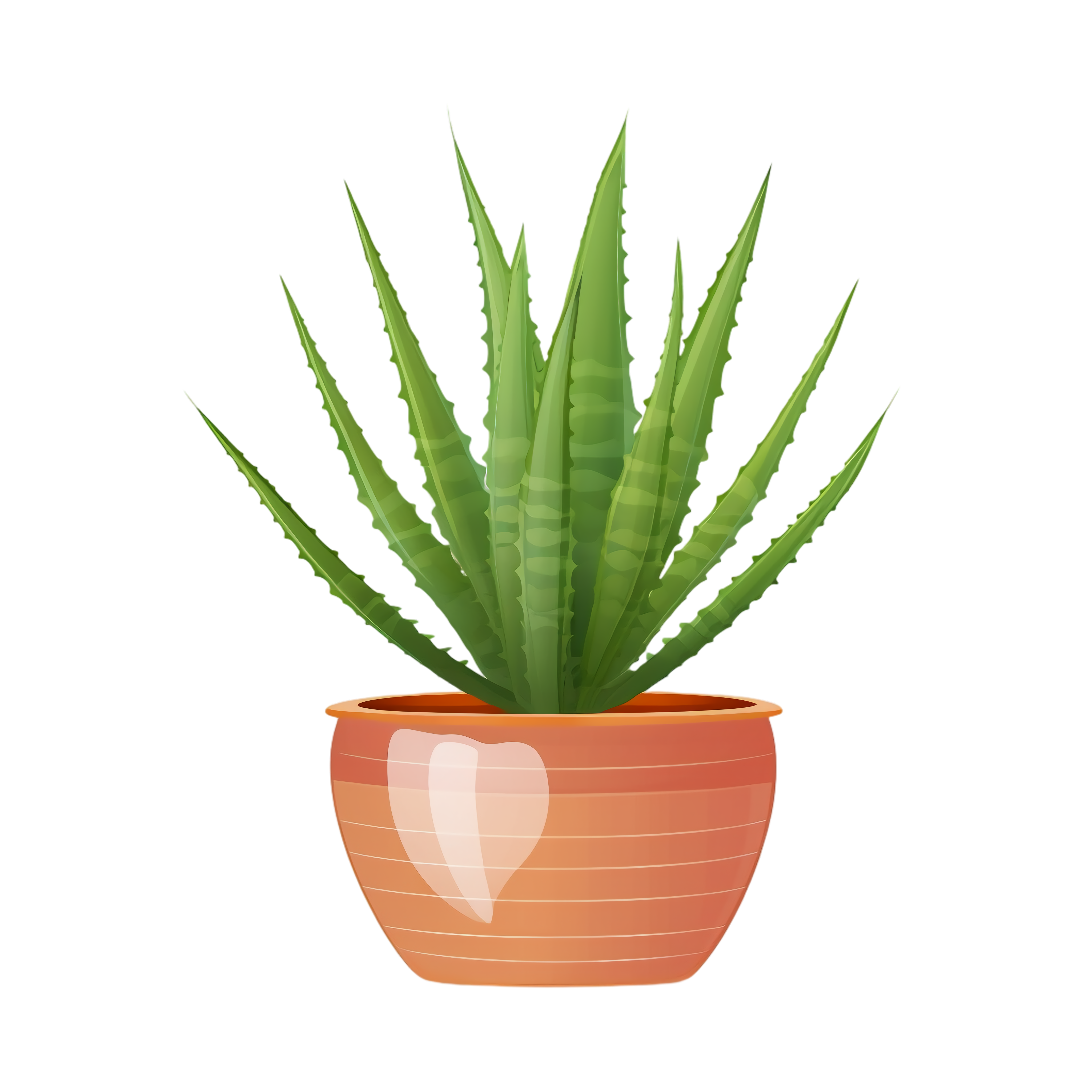 Aloe Vera Clipart