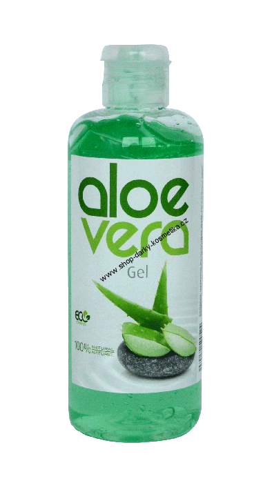 Aloe Vera Clipart