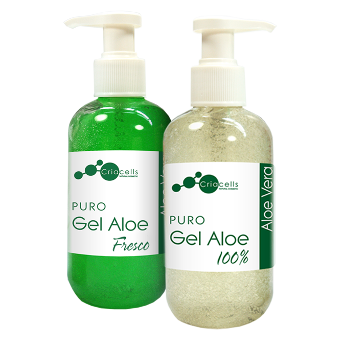 Aloe Vera Clipart