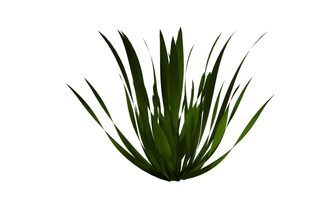 Black And White Flower Clipart