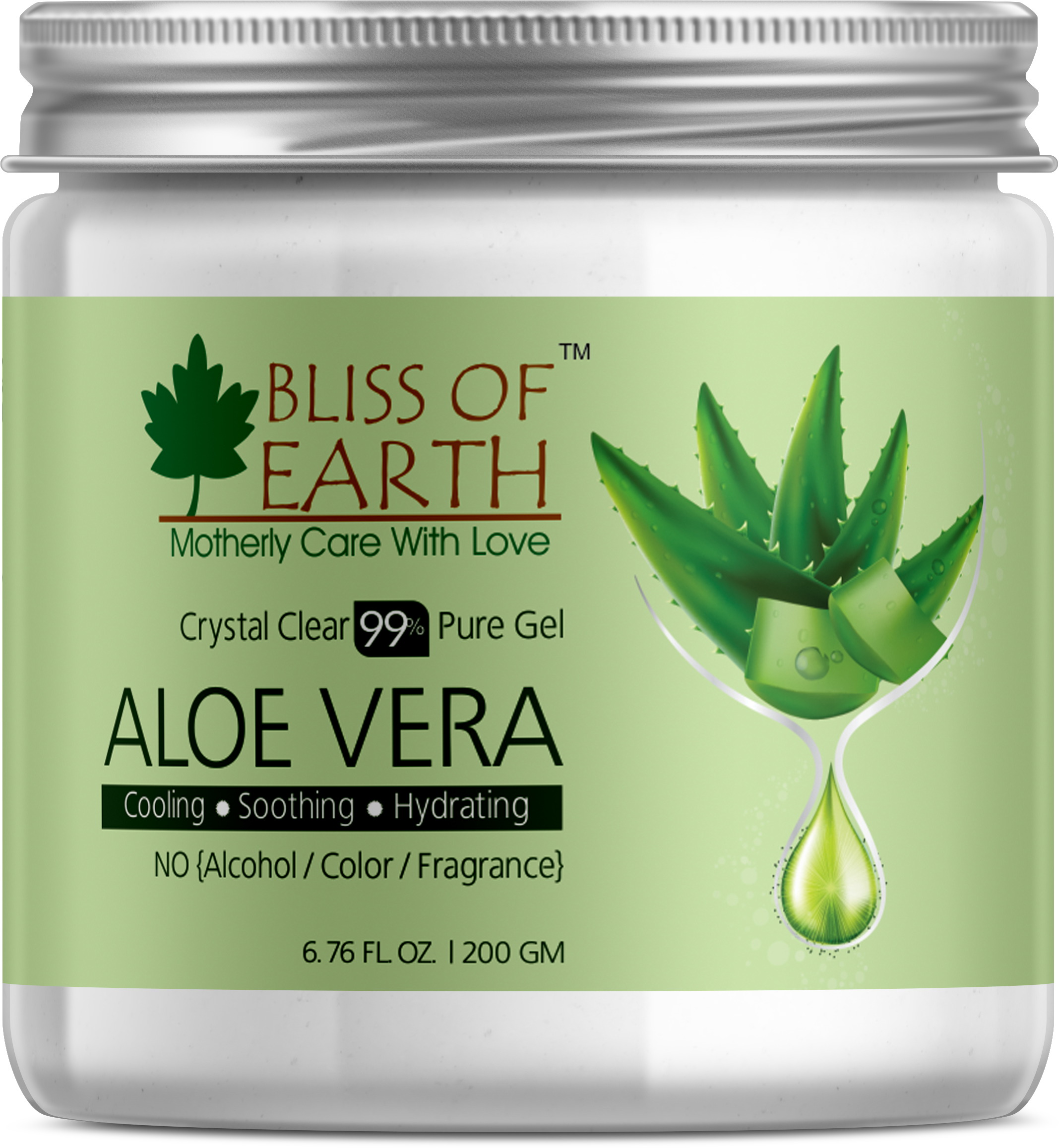 Aloe Vera Clipart