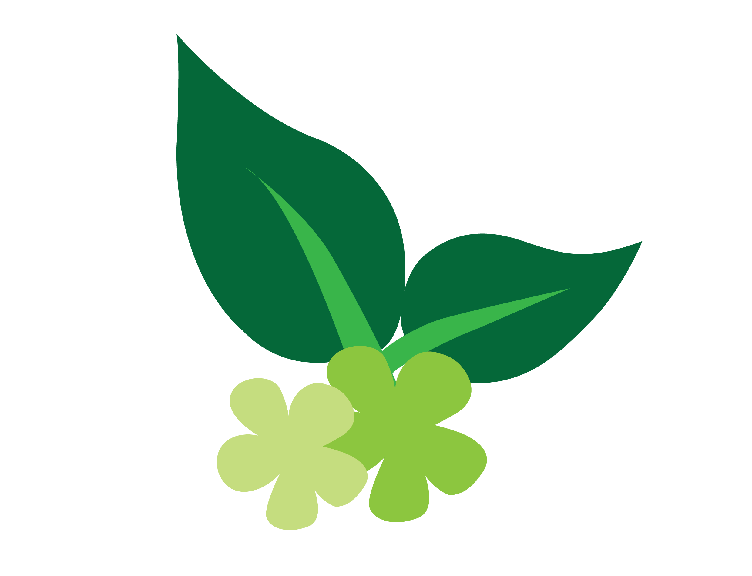 Aloe Vera Leaf Clipart