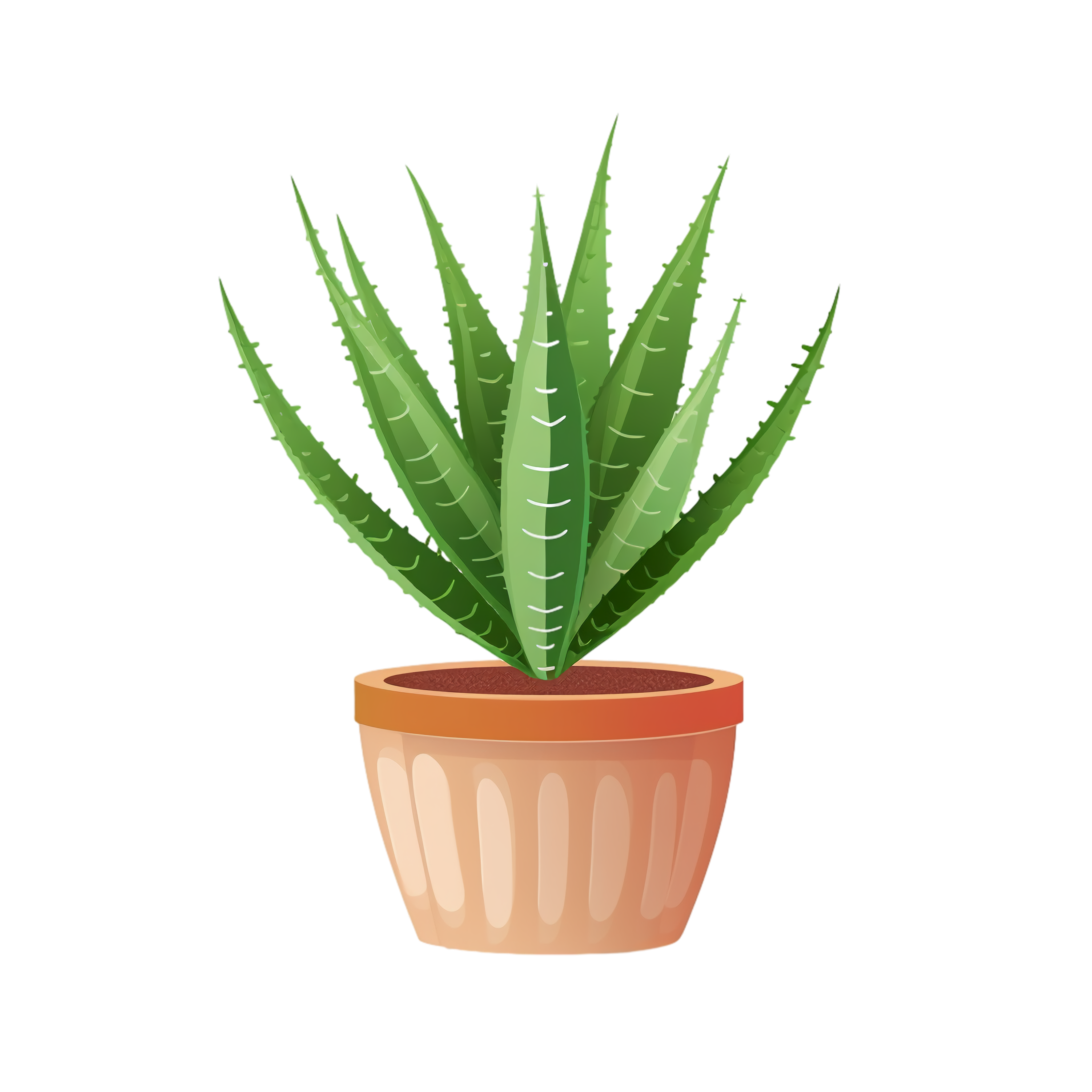 Aloe vera Clipart