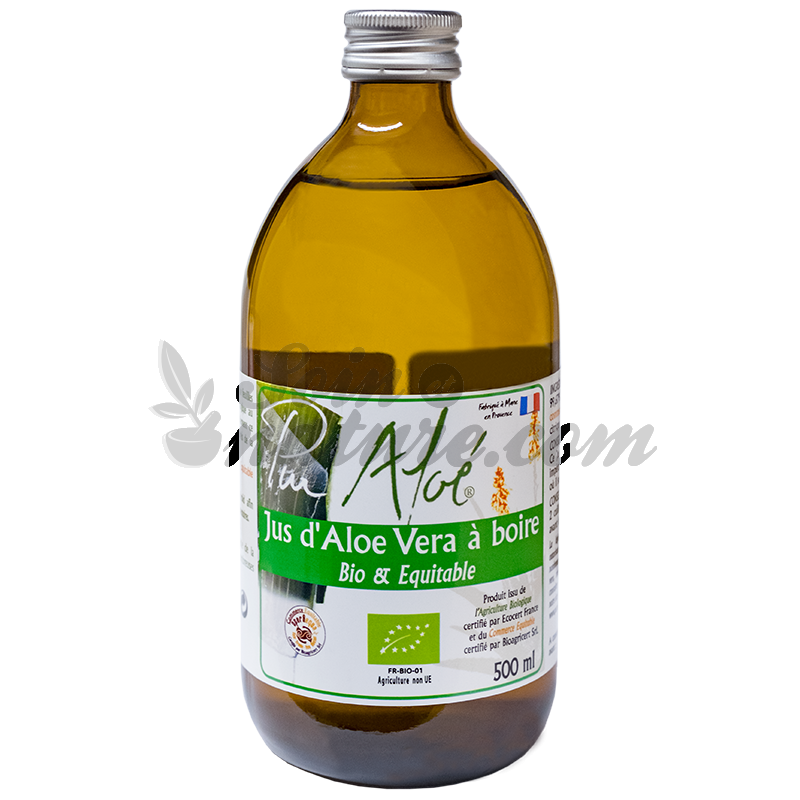 Aloe Vera Clipart