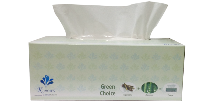 Aloe Vera Clipart