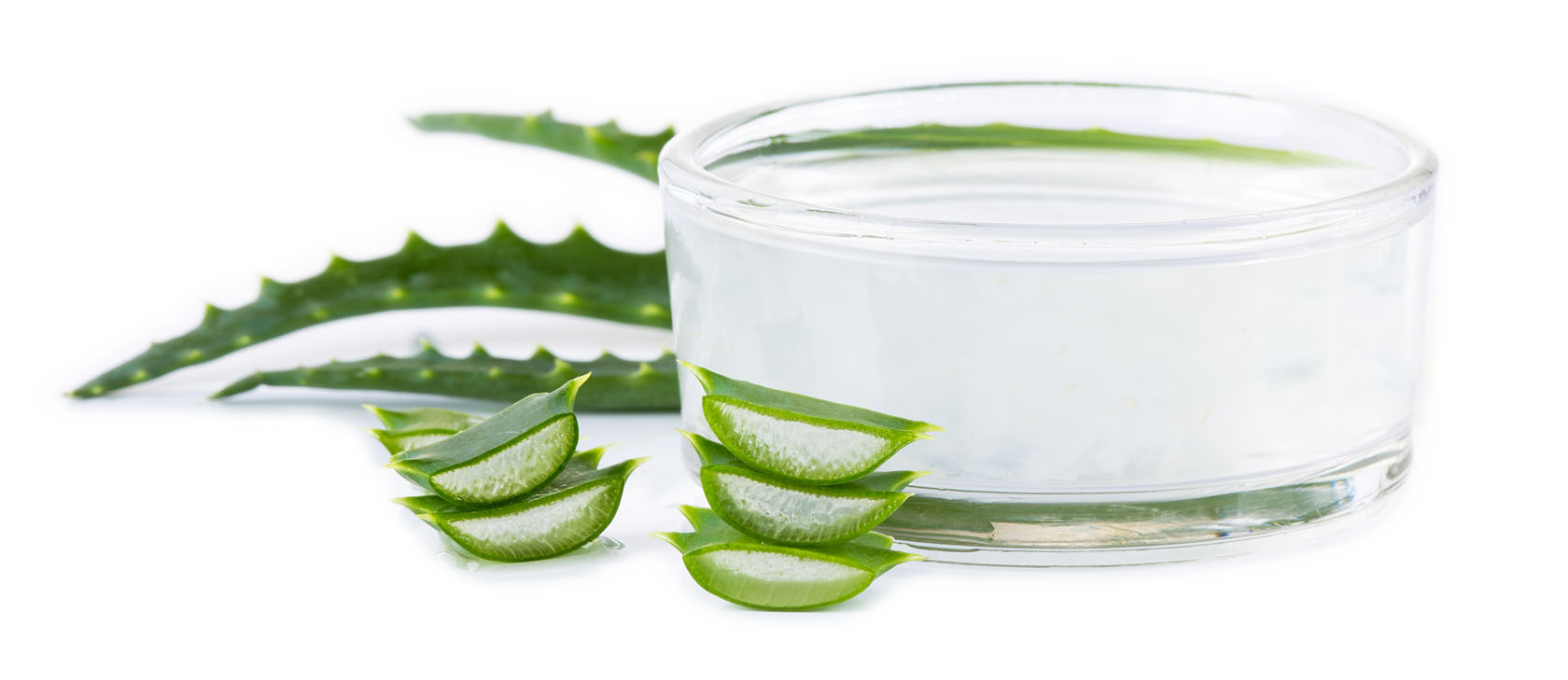Aloe Vera Clipart