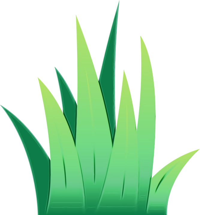 Green Leaf Watercolor Clipart