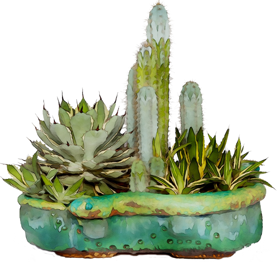 Aloe Vera Clipart