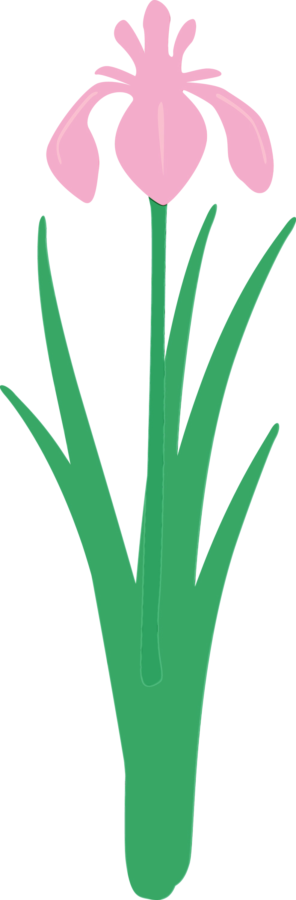 green leaf grass grass family plant Clipart