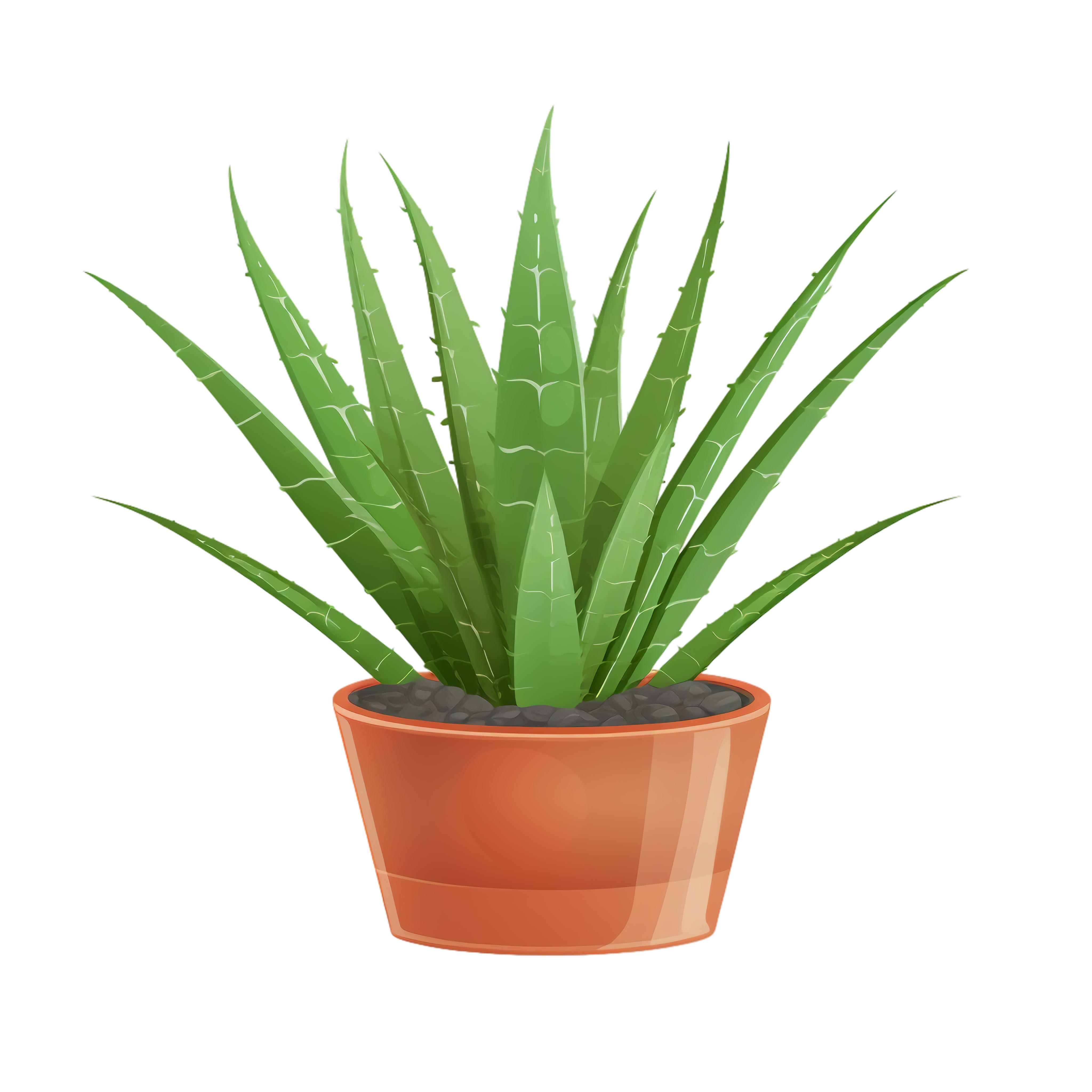 Aloe vera Clipart