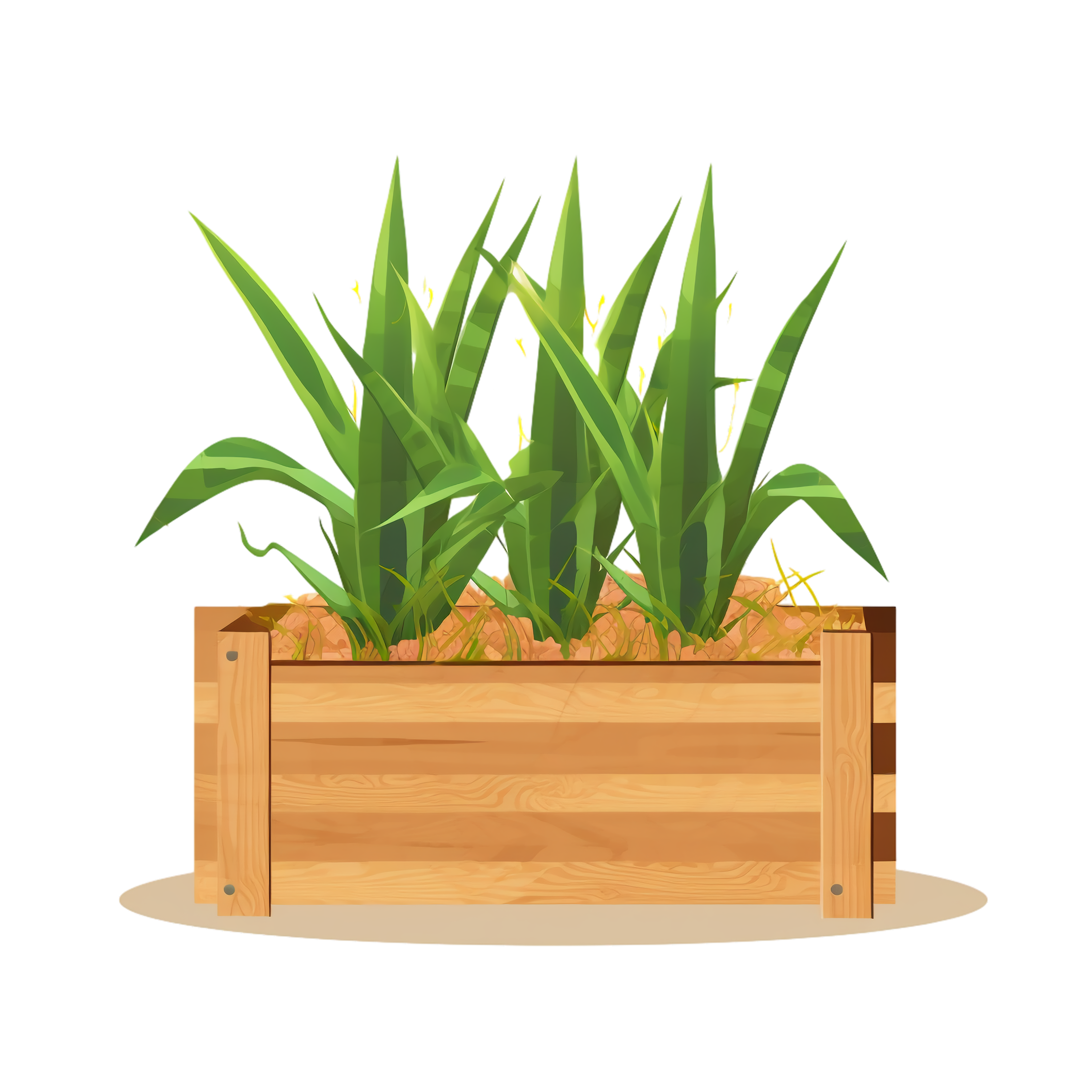 Aloe vera Clipart