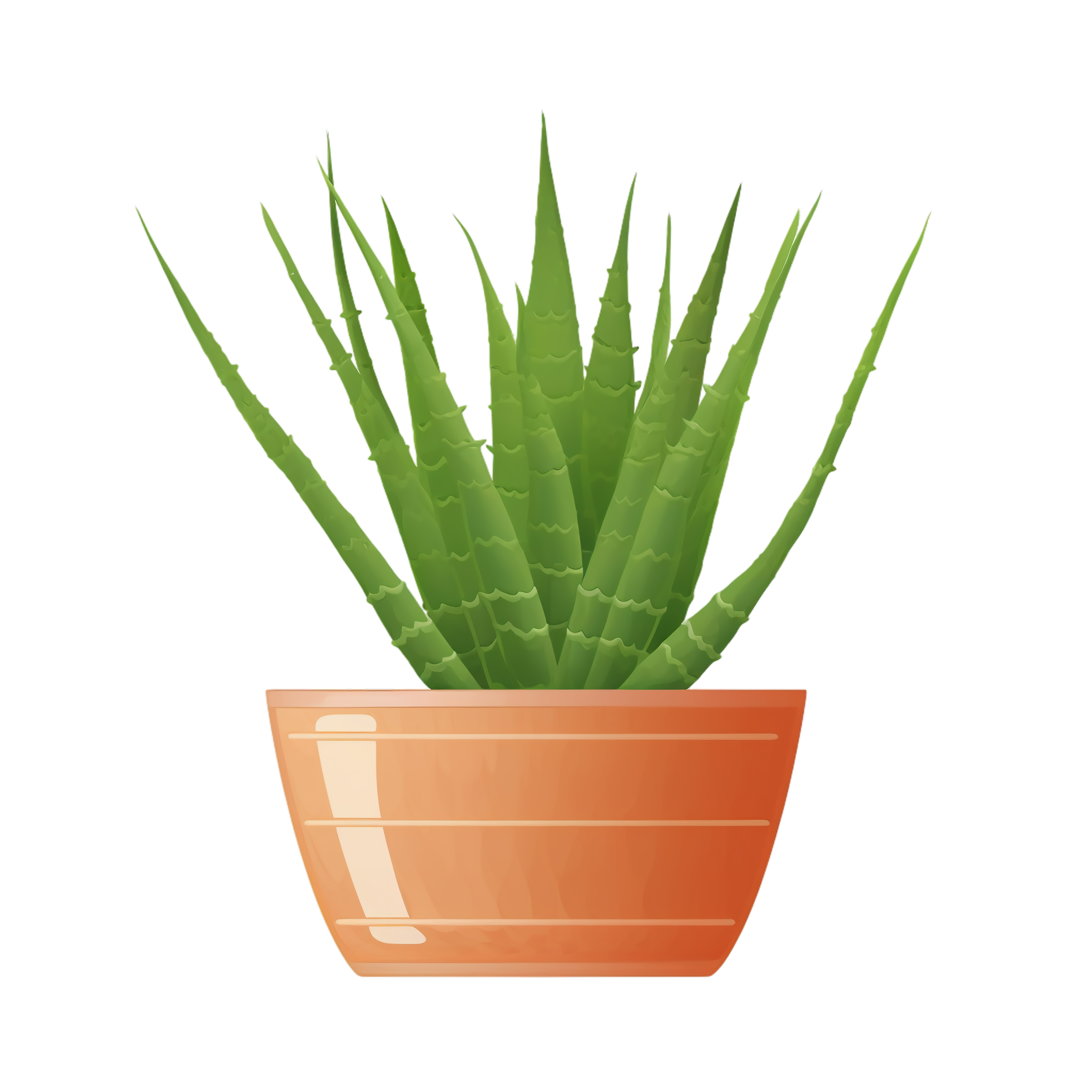 Aloe vera Clipart