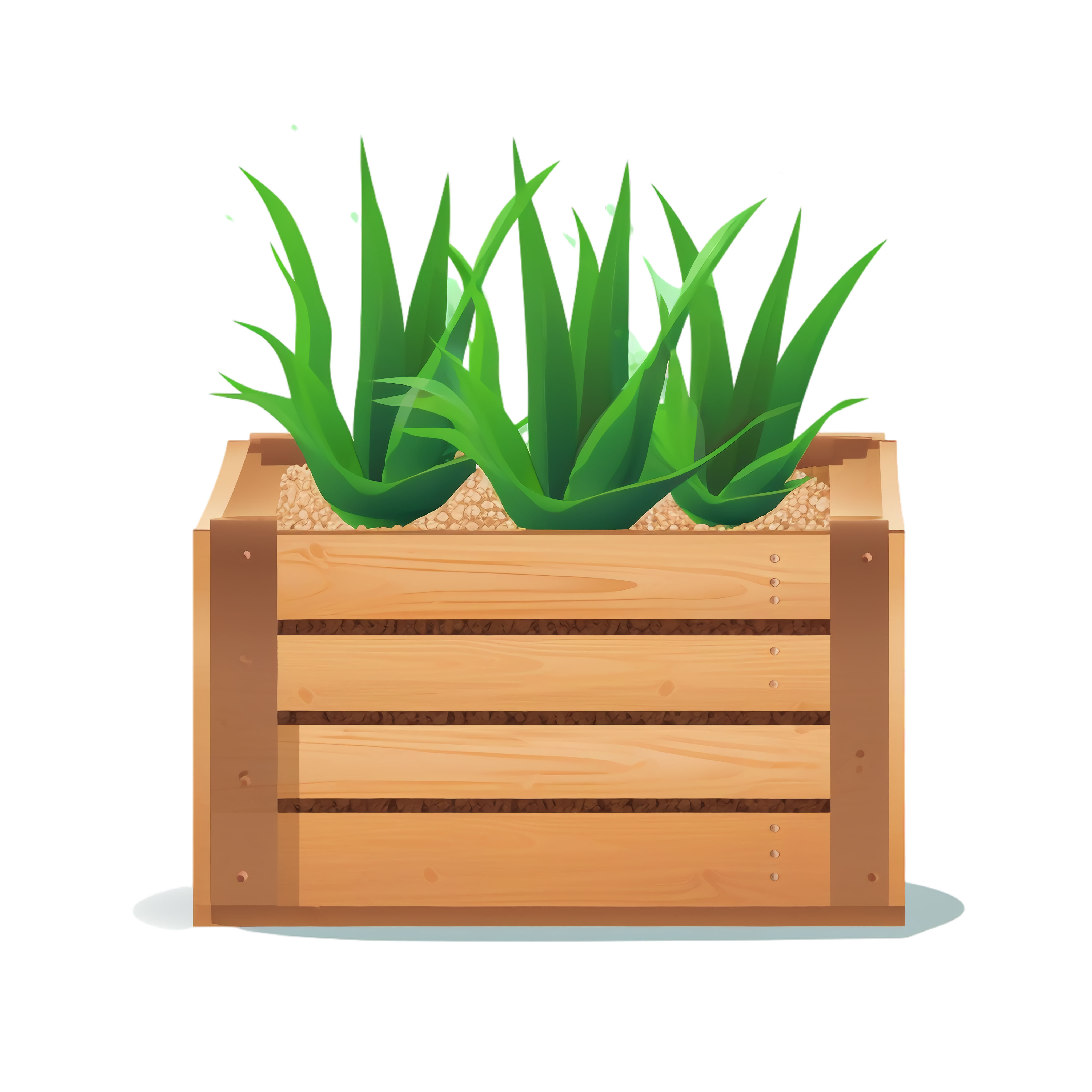 Aloe vera Clipart