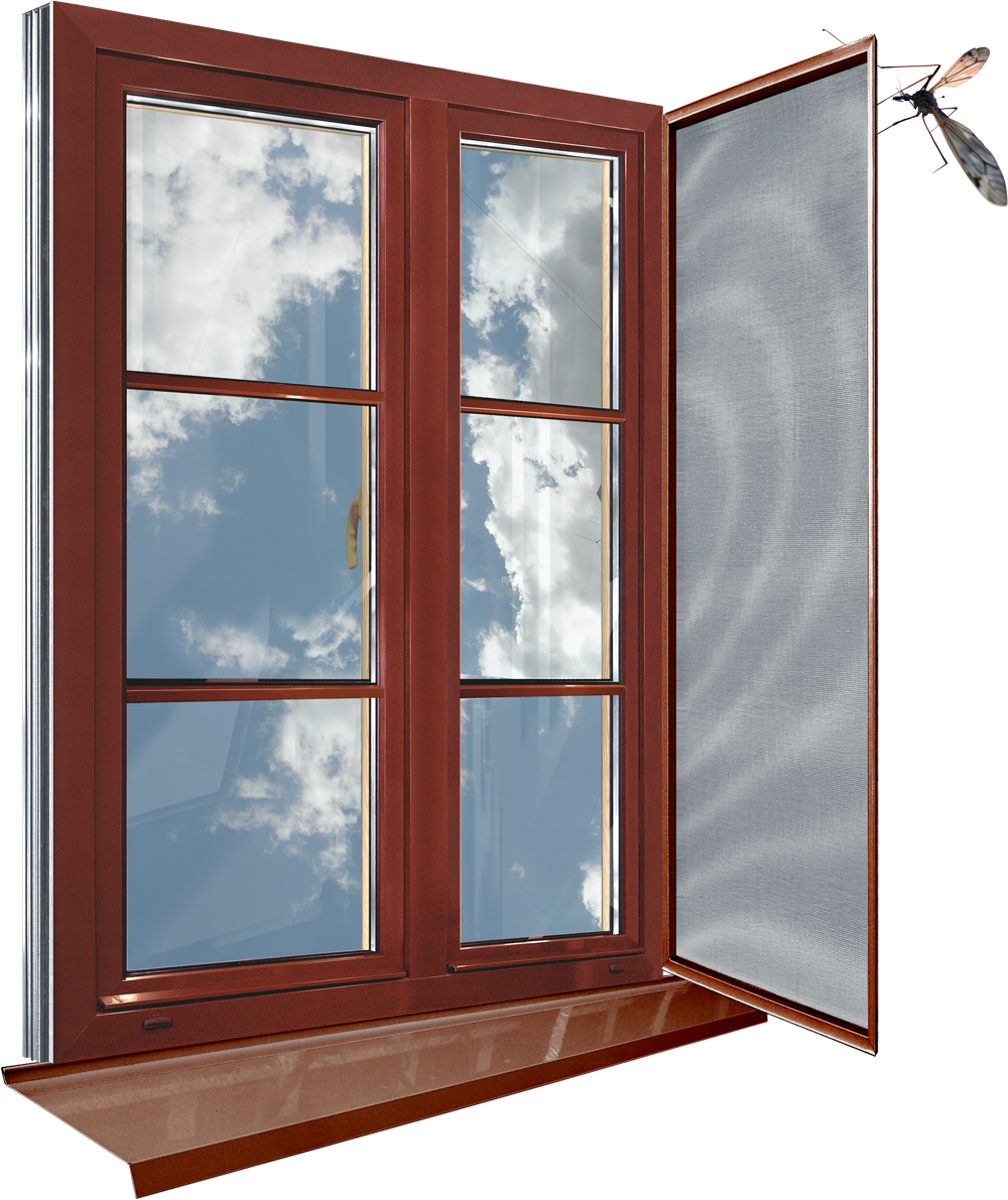 Window Cartoon Clipart