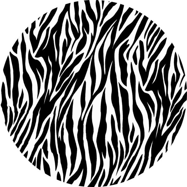 Zebra Cartoon Clipart