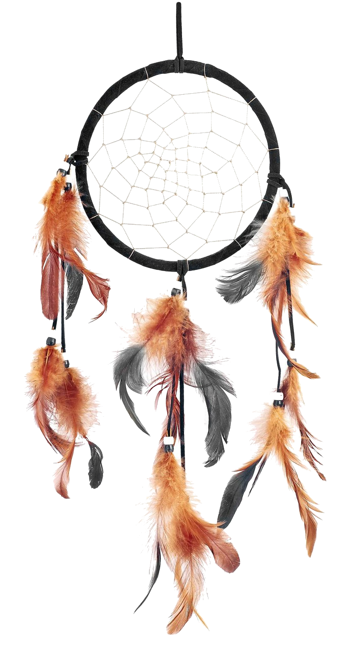 Dreamcatcher Feather Clipart