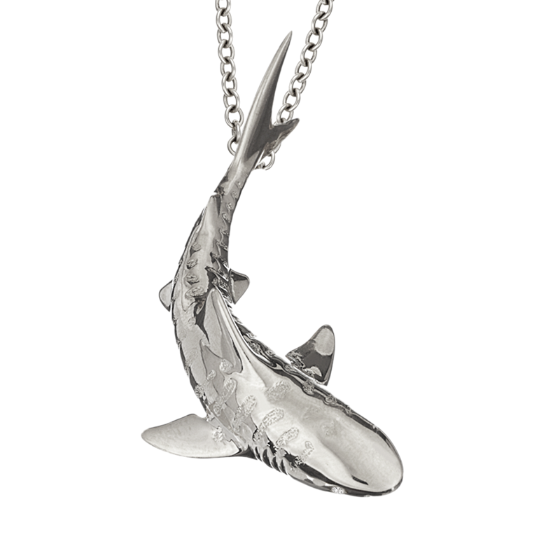 Shark Cartoon Clipart