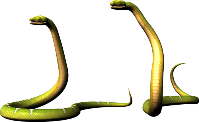 Snake Cartoon Clipart