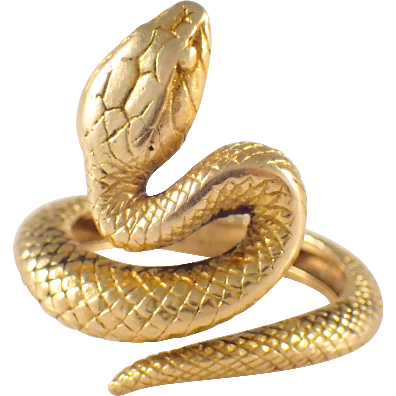 Snake Cartoon Clipart