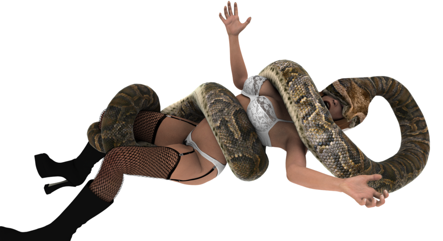 Snake Cartoon Clipart