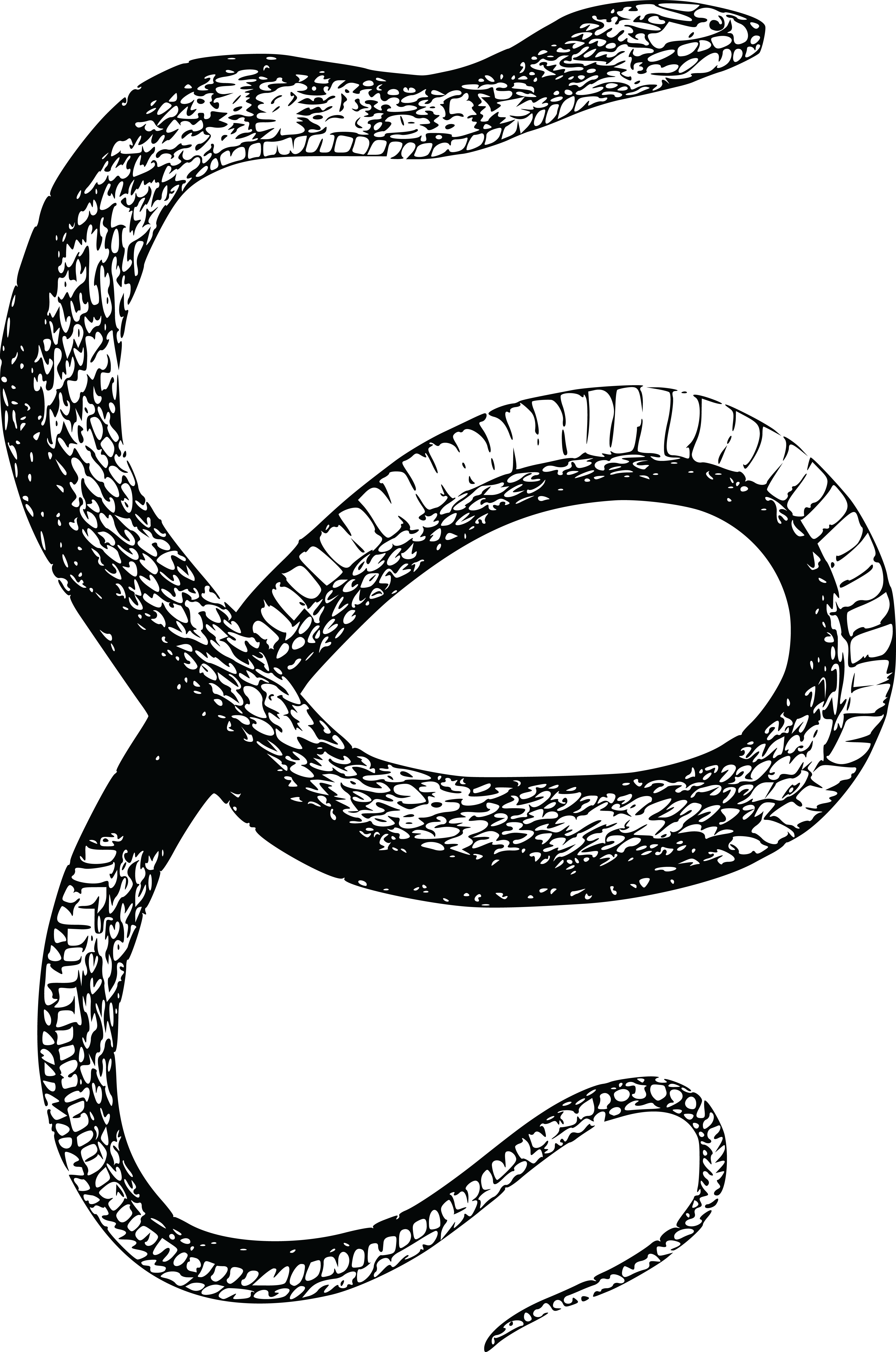 Water Circle Clipart