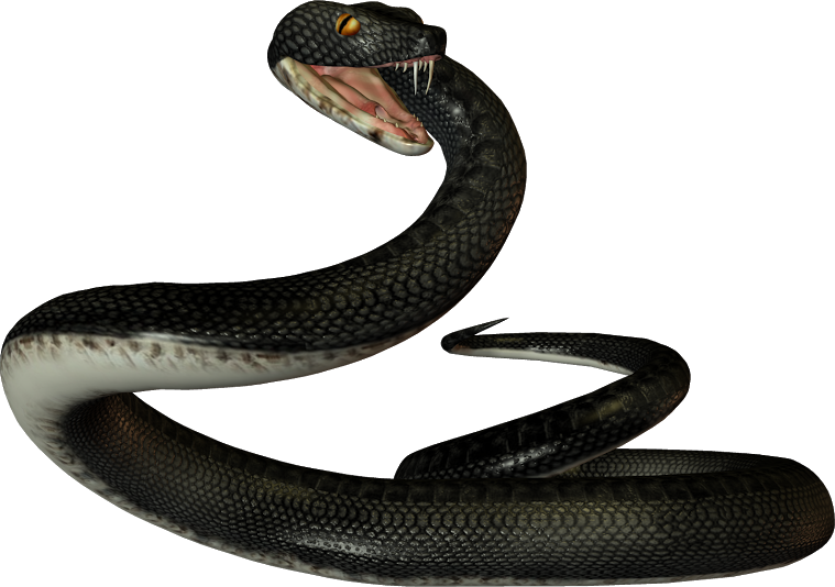 Snake Cartoon Clipart