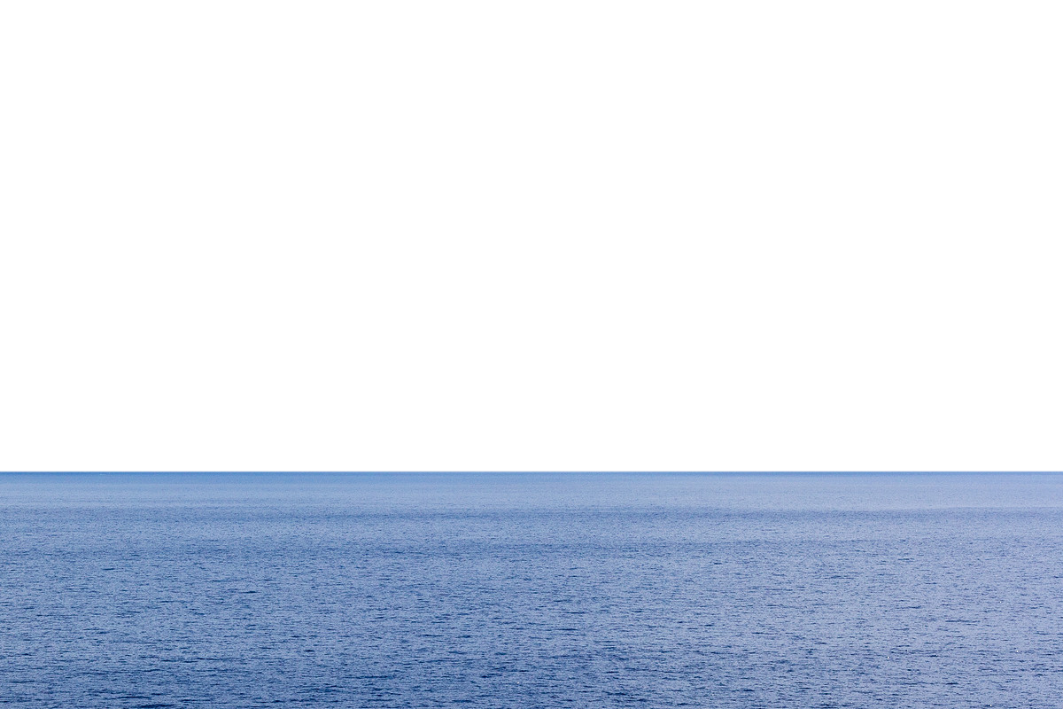 Sea Turtle Background Clipart