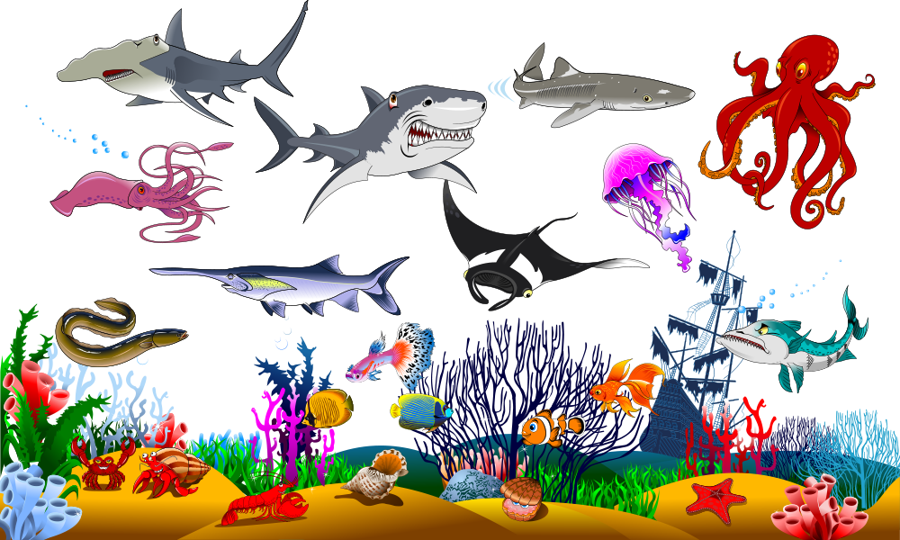 Shark Cartoon Clipart