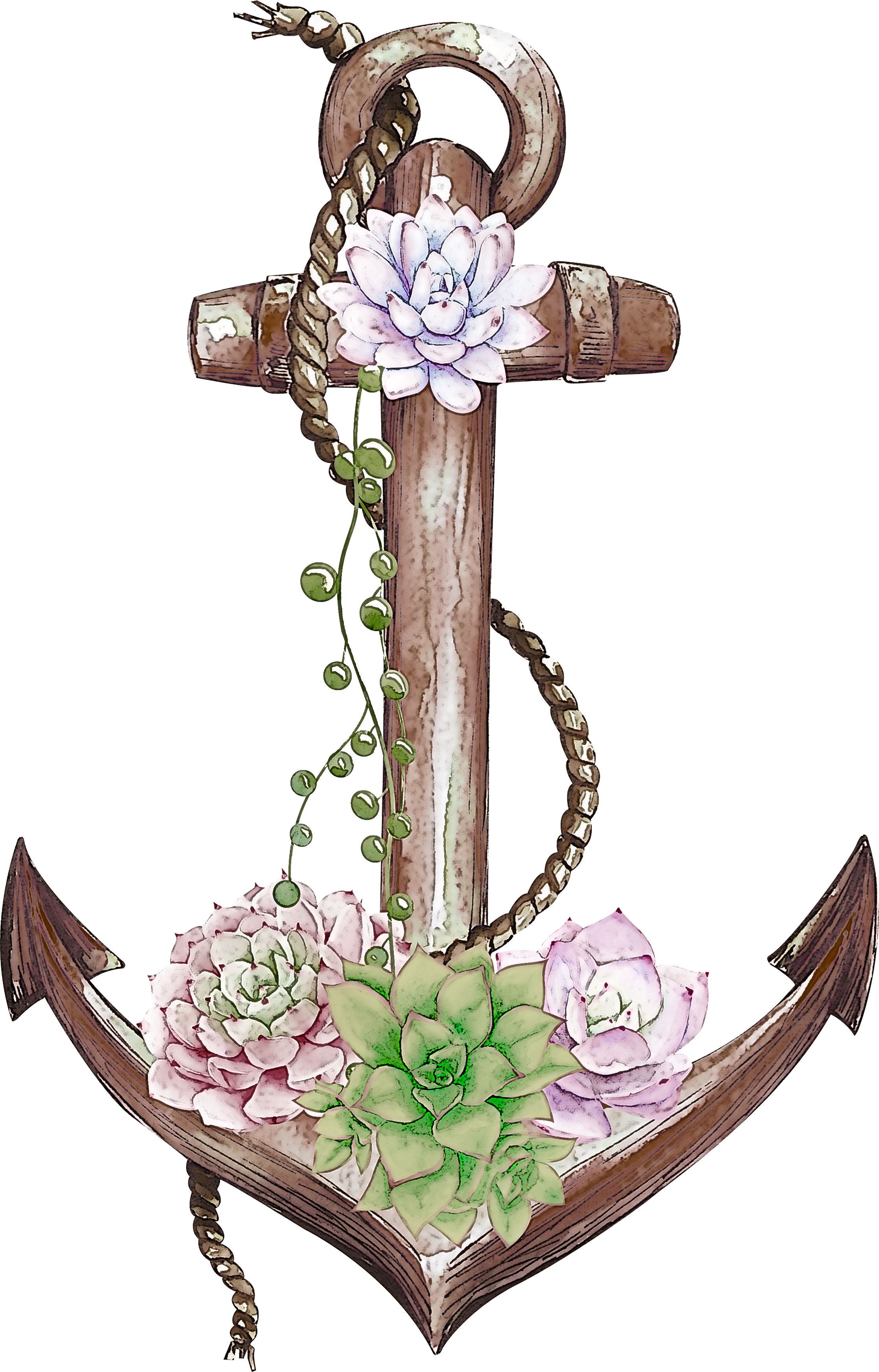 anchor m. Clipart