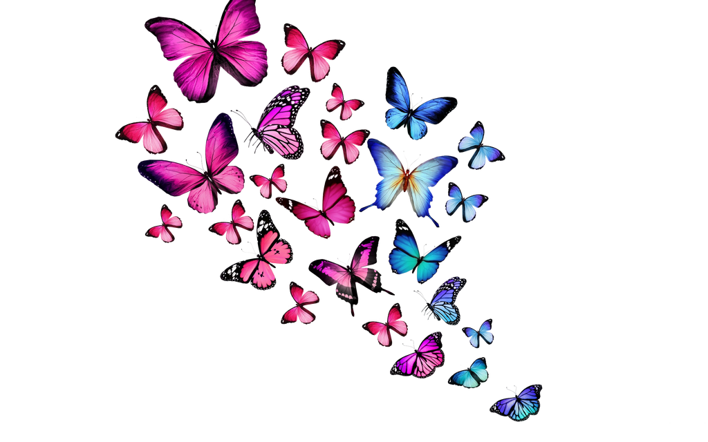 Butterfly Clipart Clipart