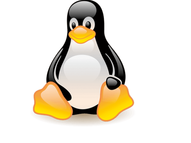 Penguin Cartoon Clipart