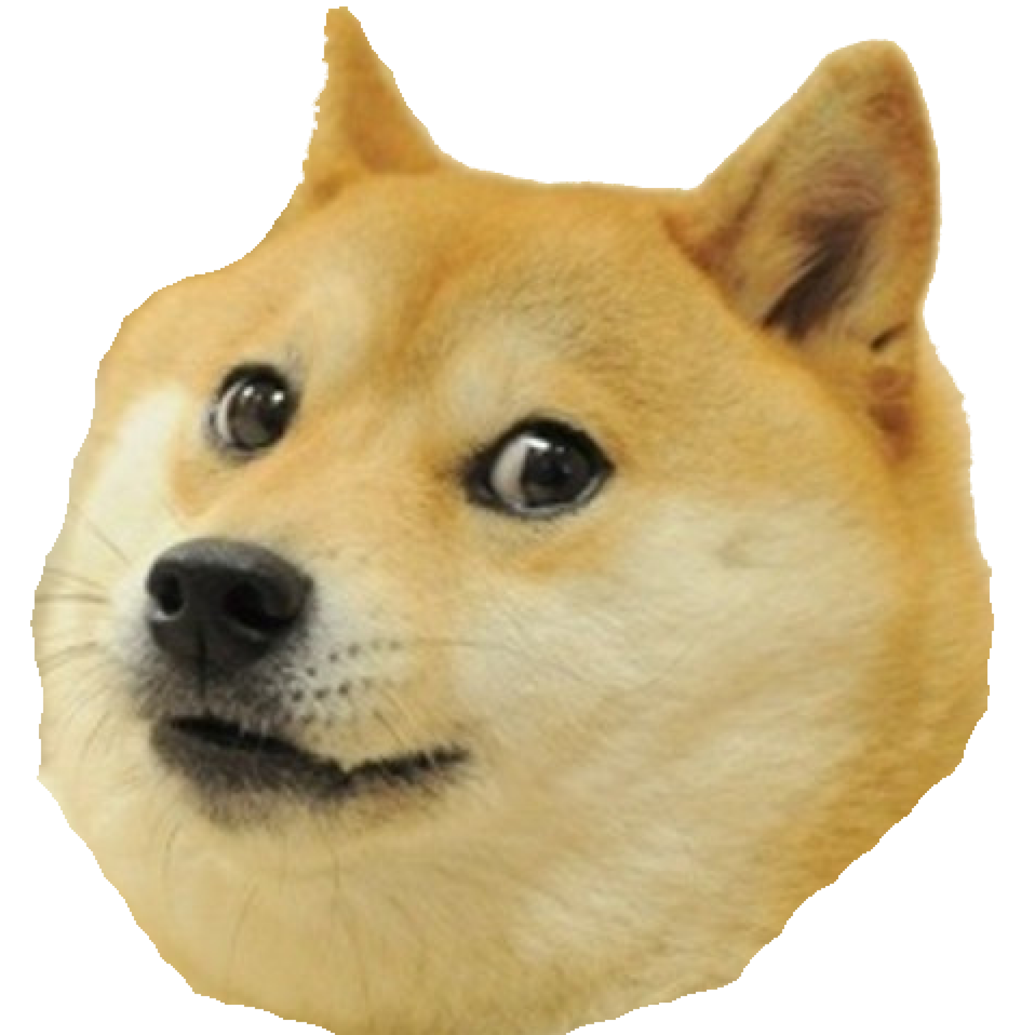 Doge Dog Clipart