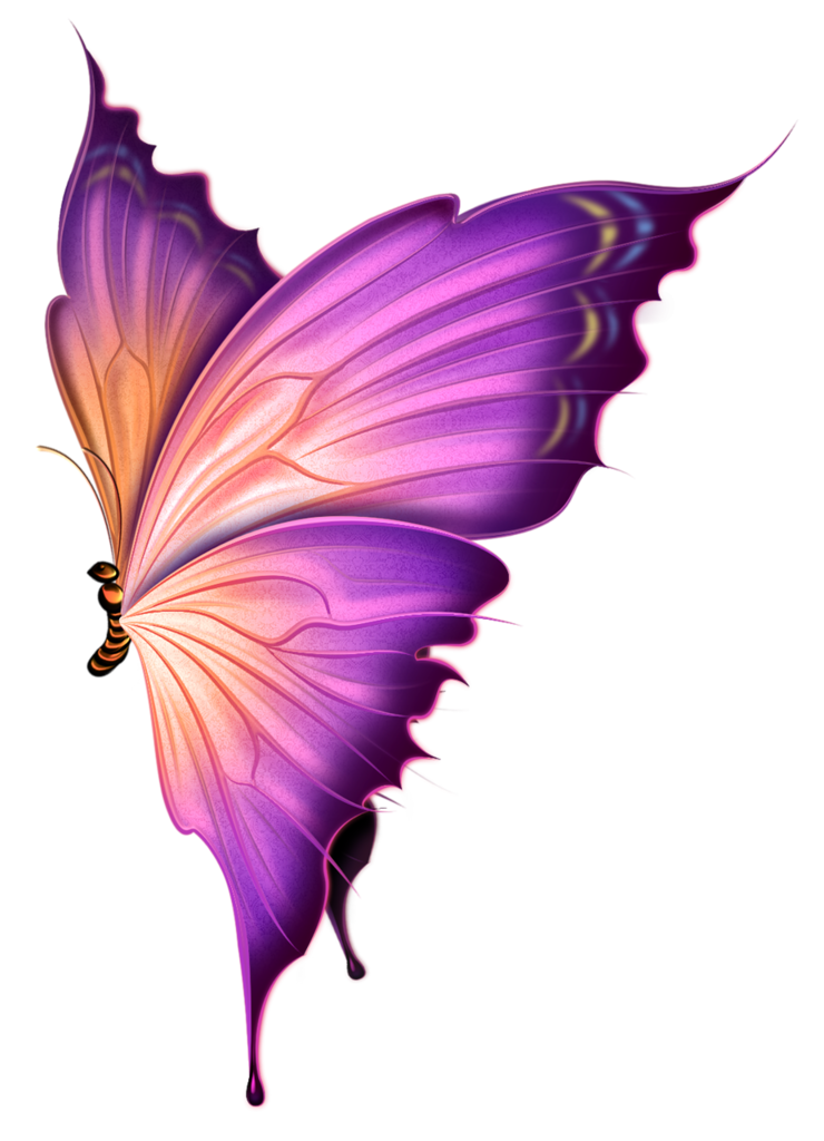 Butterfly Clipart Clipart