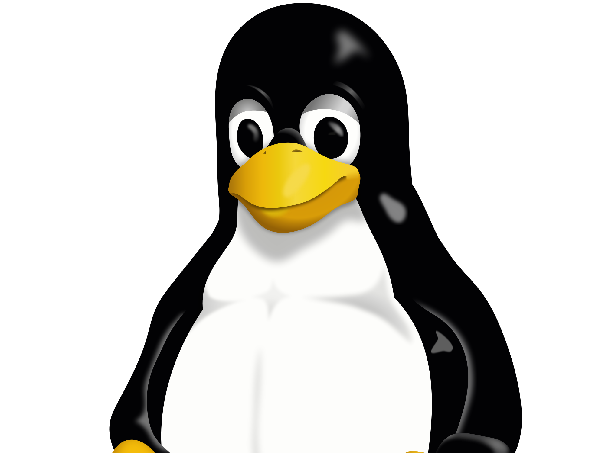 Bird Cartoon Clipart