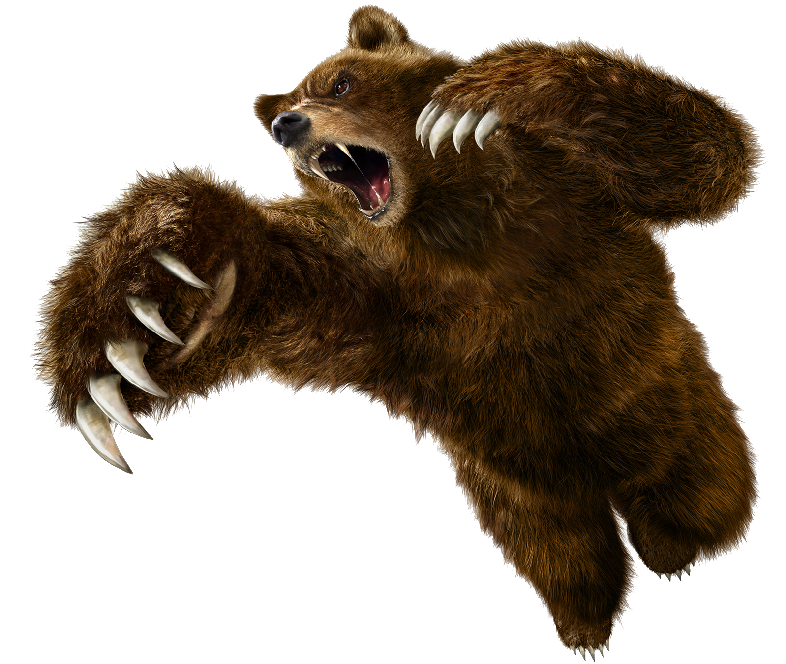 Bear Cartoon Clipart