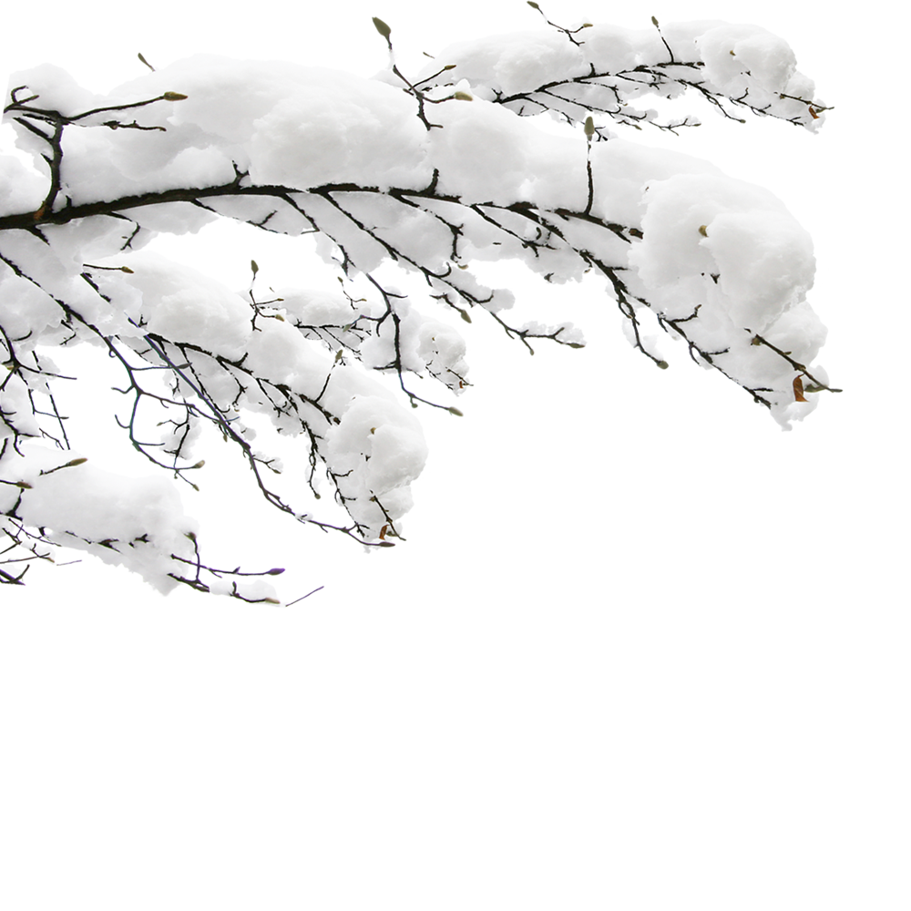 Tree Template Clipart