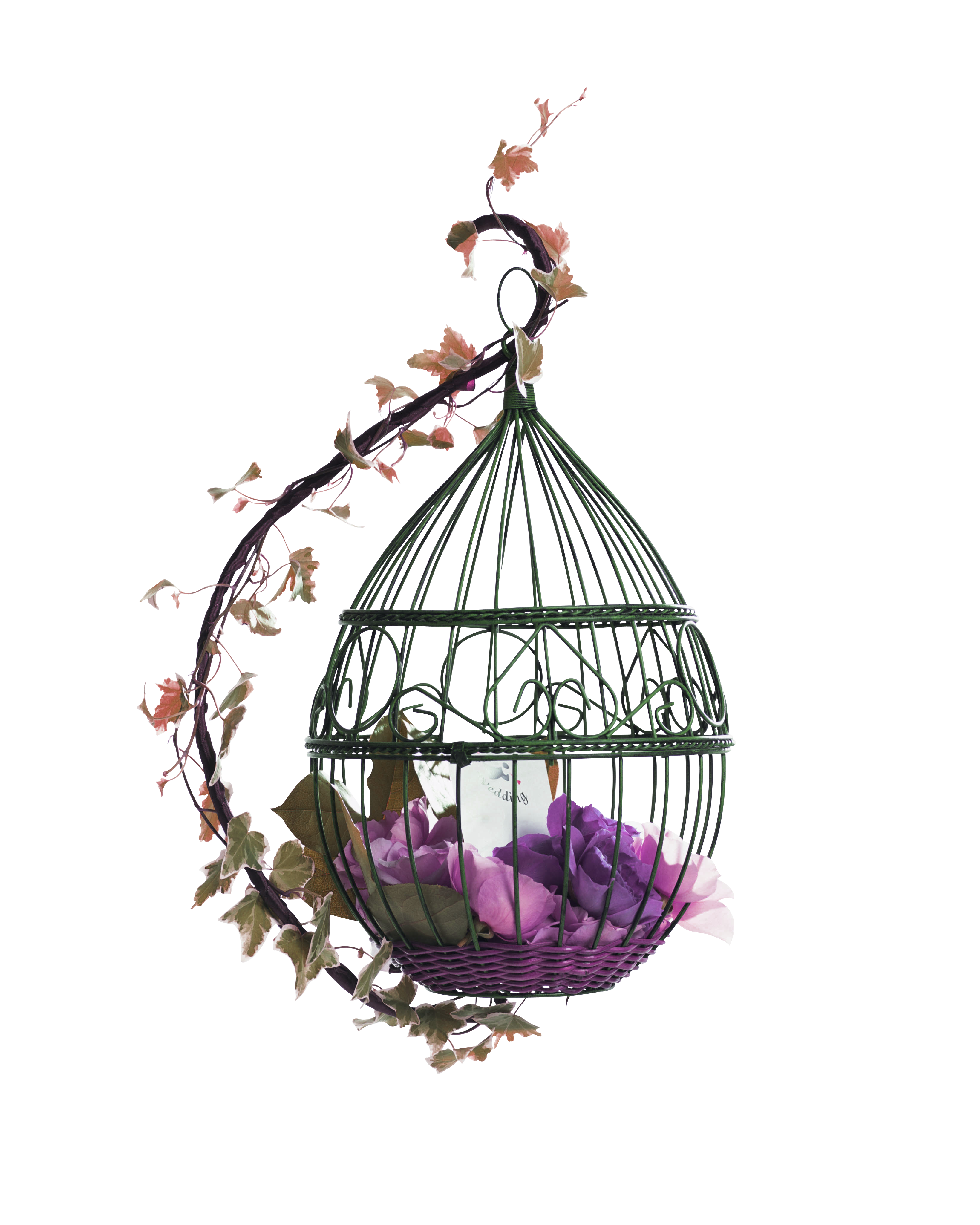 Bird Cage Clipart