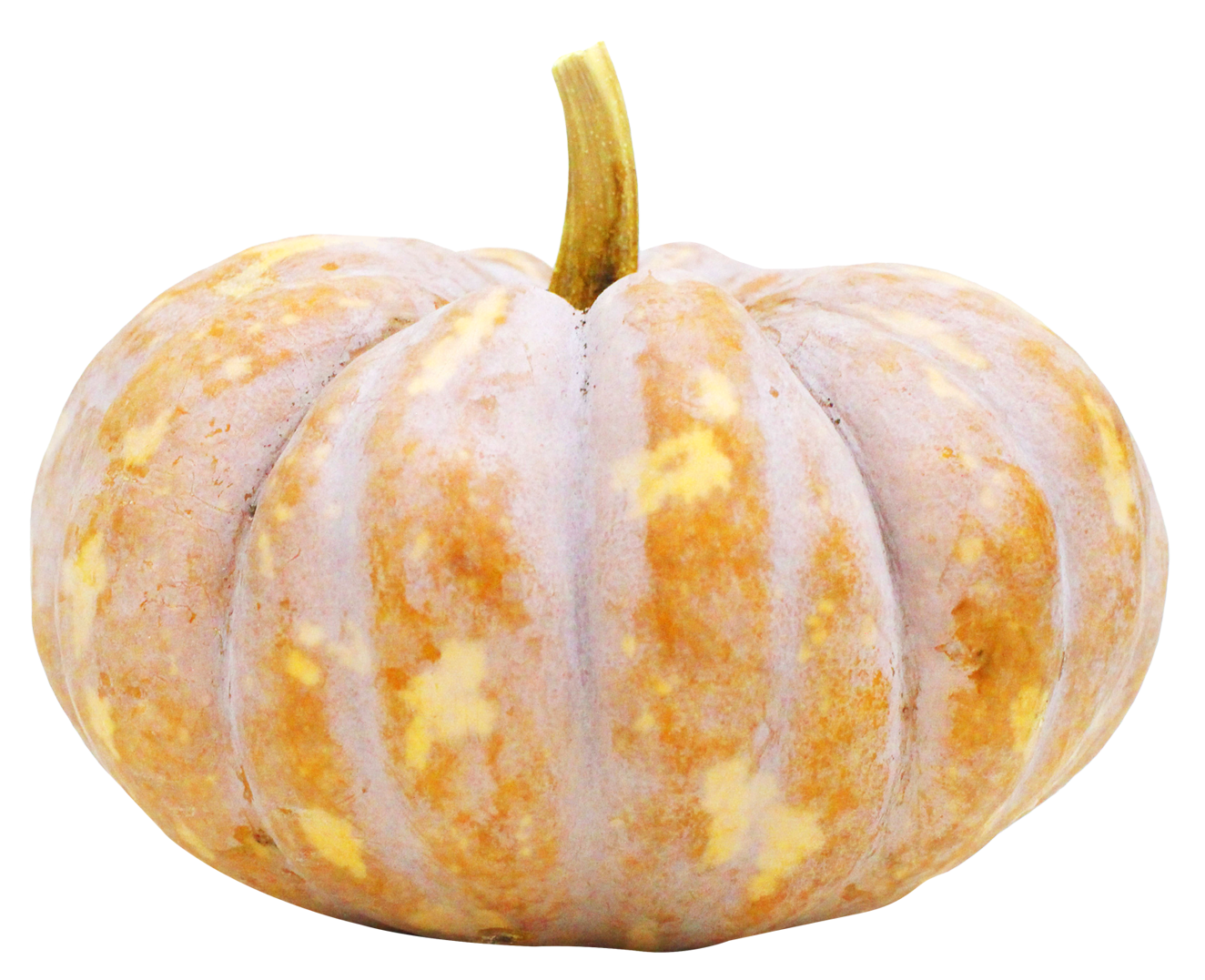 Onion Cartoon Clipart