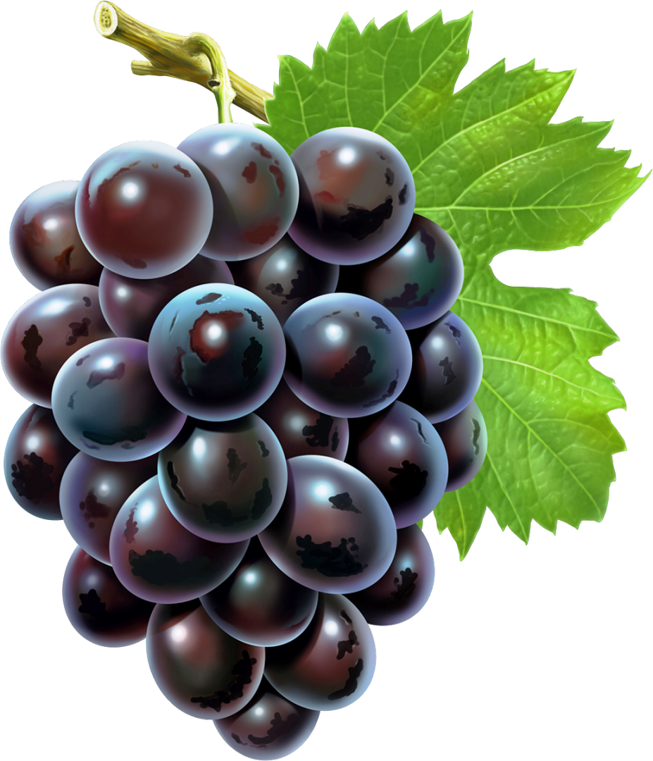 Grape Cartoon Clipart