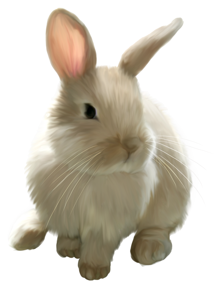 Easter Bunny Background Clipart
