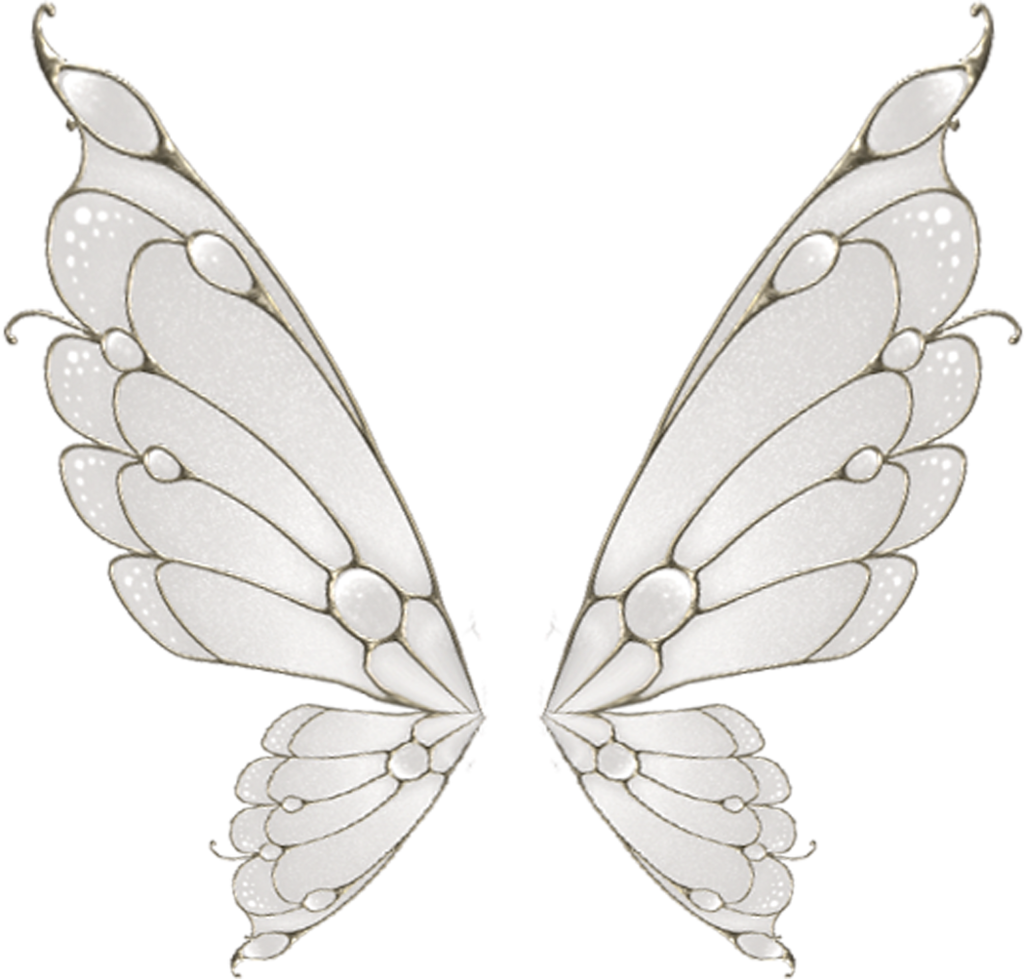 Butterfly Black And White Clipart