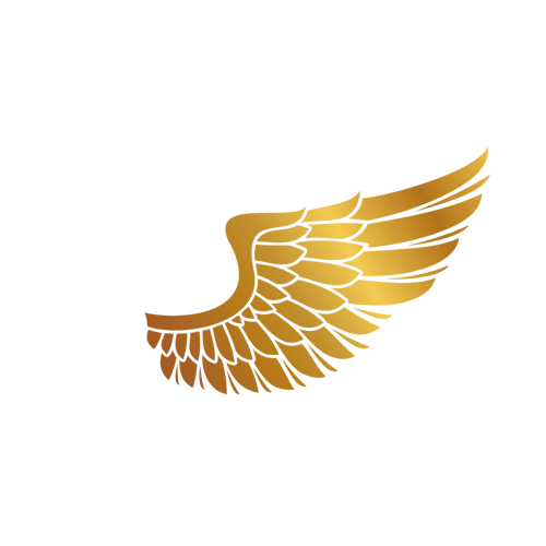 Bird Wing Clipart